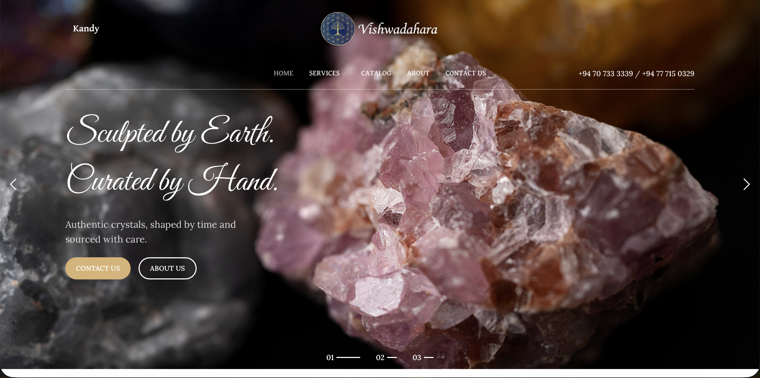 Vishwa Dahara — Retail / FMCG